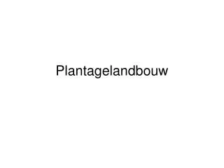 plantagelandbouw