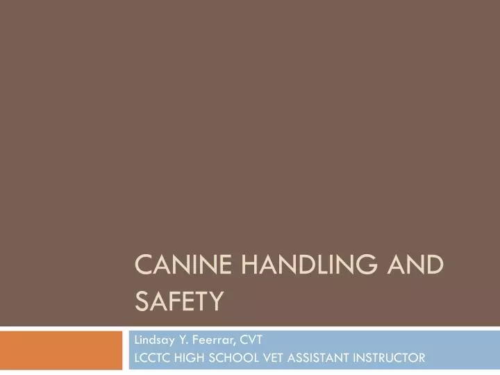 canine handling and safety