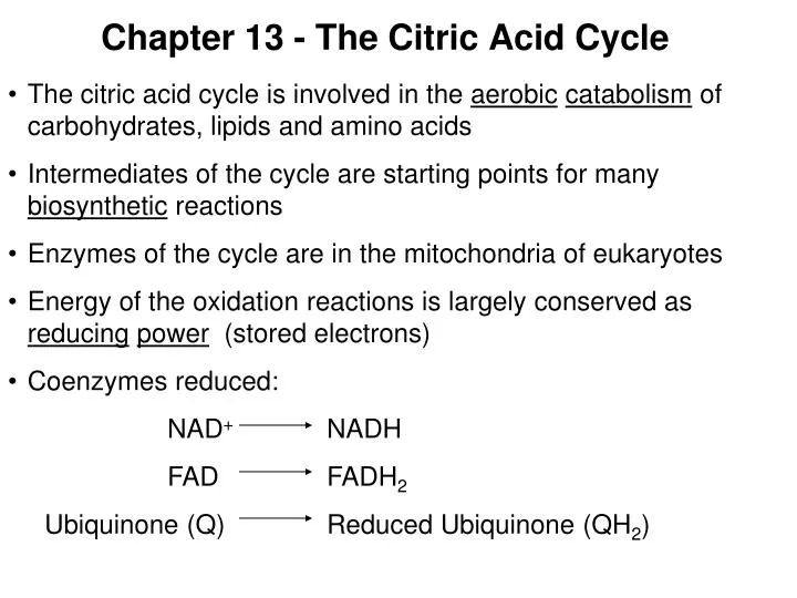 chapter 13 the citric acid cycle