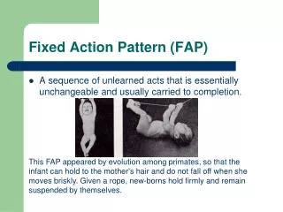 Fixed Action Pattern (FAP)