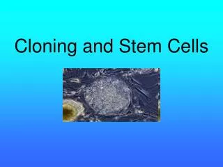 cloning and stem cells