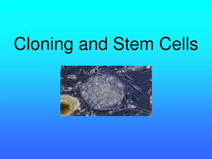 cloning and stem cells