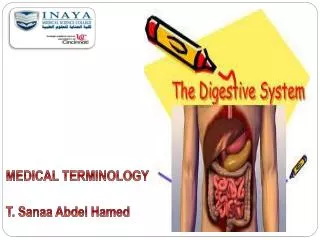 MEDICAL TERMINOLOGY T. Sanaa Abdel Hamed