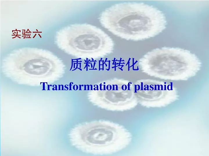 transformation of plasmid