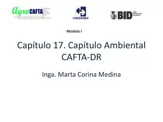 cap tulo 17 cap tulo ambiental cafta dr
