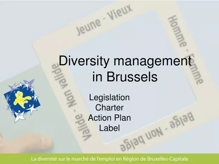 diversity management in brussels