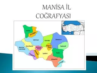 man sa l co rafyasi