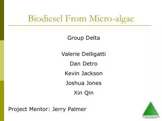 Biodiesel From Micro-algae