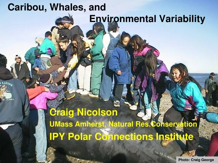 caribou whales and environmental variability