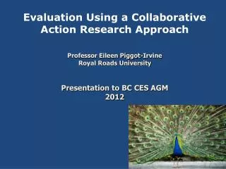 Evaluation Using a Collaborative Action Research Approach