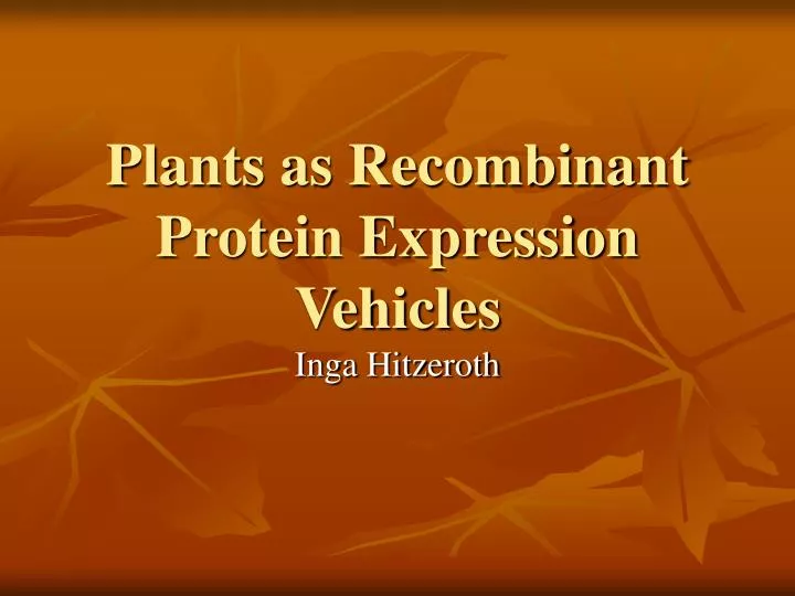 plants as recombinant protein expression vehicles