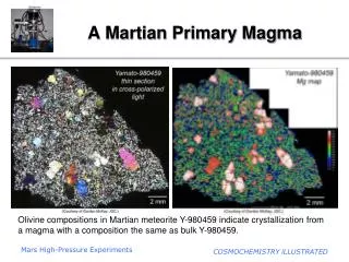 A Martian Primary Magma
