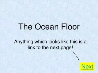 The Ocean Floor