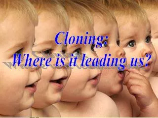 Cloning: Where is it leading us?