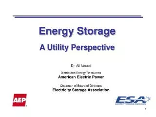 Energy Storage A Utility Perspective
