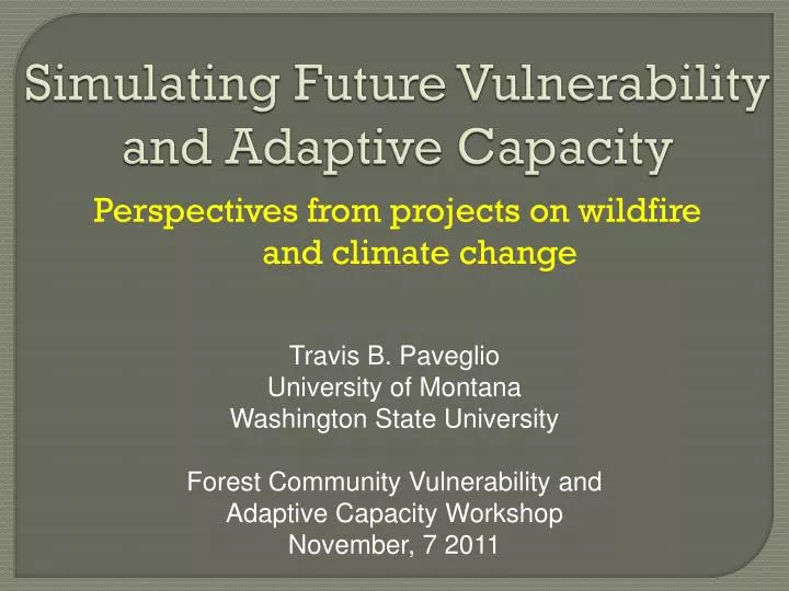 simulating future vulnerability and adaptive capacity