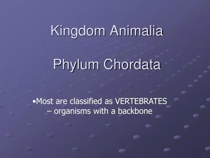 kingdom animalia phylum chordata