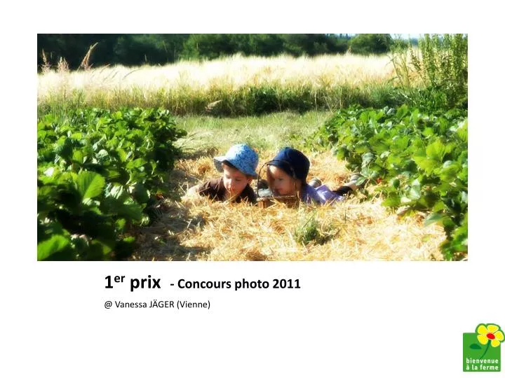 1 er prix concours photo 2011