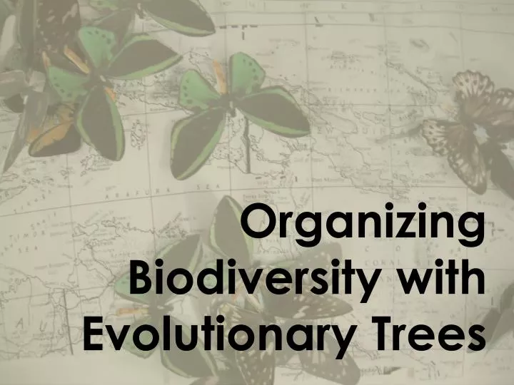 organizing biodiversity with evolutionary trees