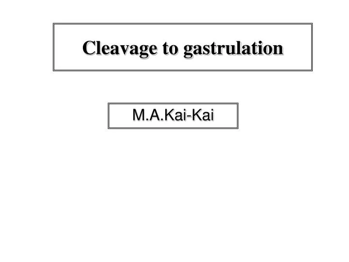 cleavage to gastrulation