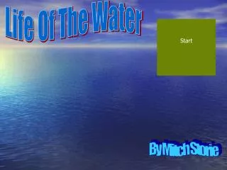 Life Of The Water