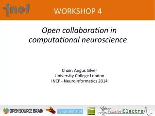WORKSHOP 4 Open collaboration in computational neuroscience