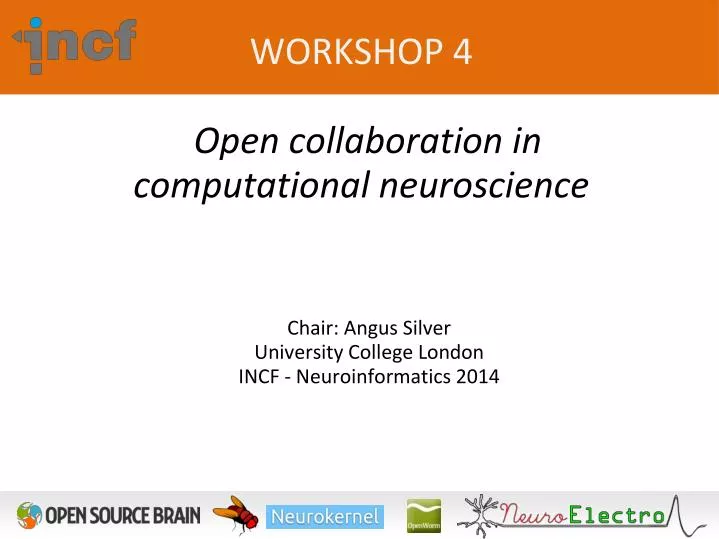 workshop 4 open collaboration in computational neuroscience