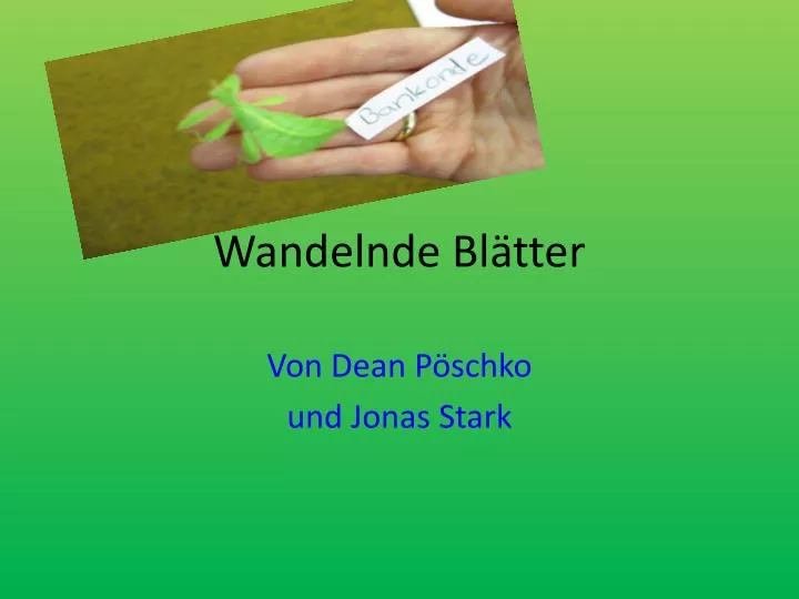 wandelnde b l tter