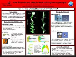 How has time optimized this biological wind turbine?