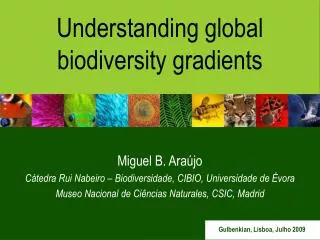 Understanding global biodiversity gradients