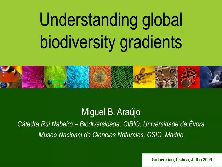understanding global biodiversity gradients