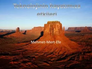 mehmet mert efe