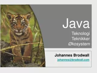 java teknologi teknikker kosystem