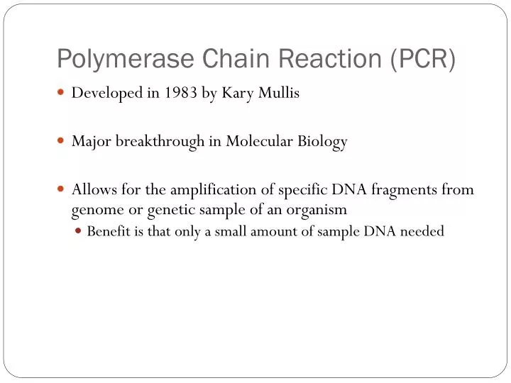 polymerase chain reaction pcr