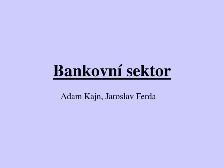 bankovn sektor