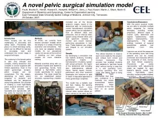A novel pelvic surgical simulation model