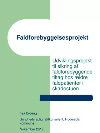 faldforebyggelsesprojekt