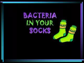 BACTERIA IN YOUR SOCKS
