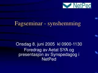 fagseminar synshemming