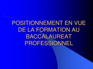 positionnement en vue de la formation au baccalaureat professionnel