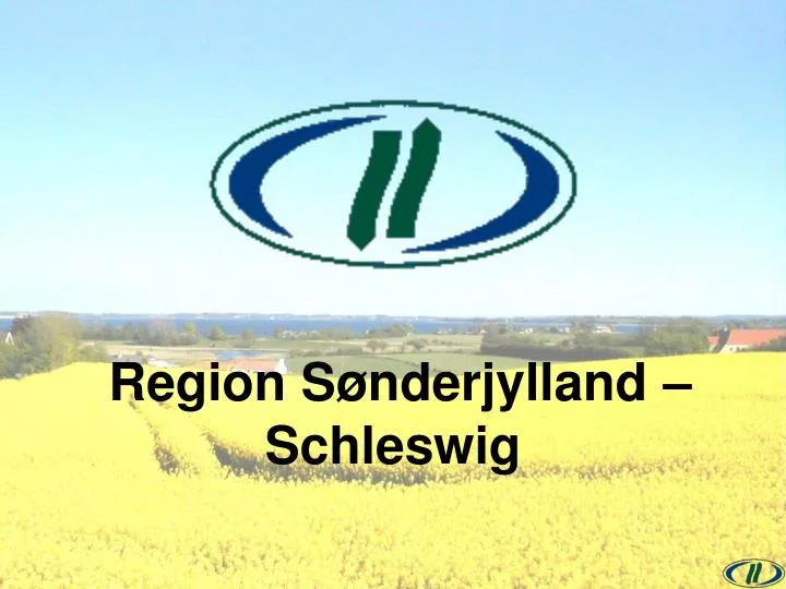 region s nderjylland schleswig