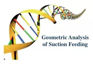 Geometric Analysis of Suction Feeding