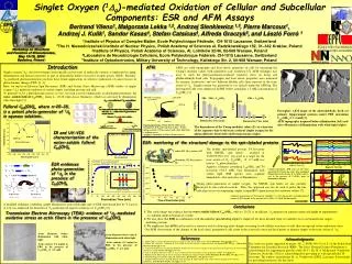 Workshop on Structure and Function of Biomolecules, May 13-15, 2004 B?delwo, Poland