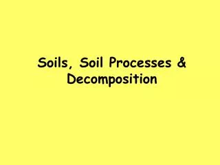 Soils, Soil Processes &amp; Decomposition