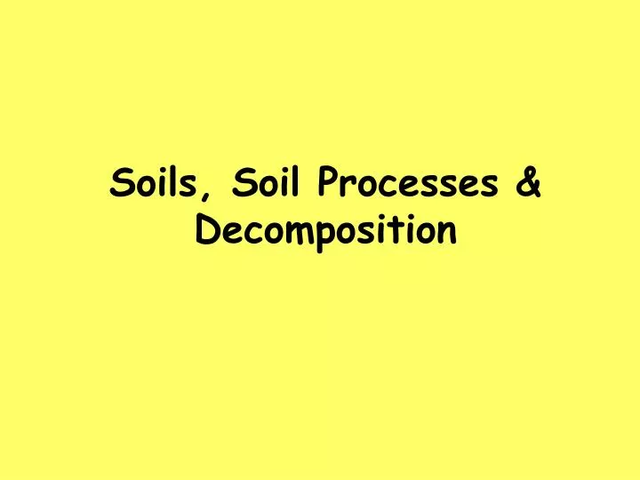 soils soil processes decomposition
