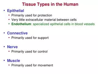 Tissue Types in the Human