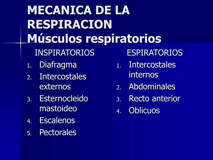 mecanica de la respiracion m sculos respiratorios