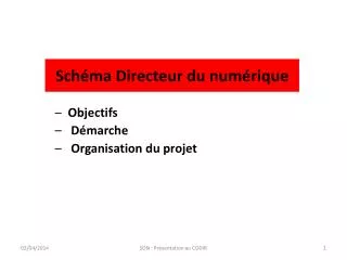 sch ma directeur du num rique