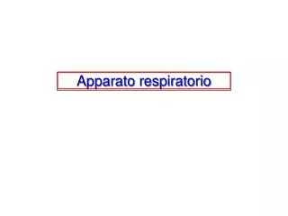 apparato respiratorio