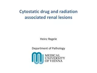 Cytostatic drug and radiation associated renal lesions